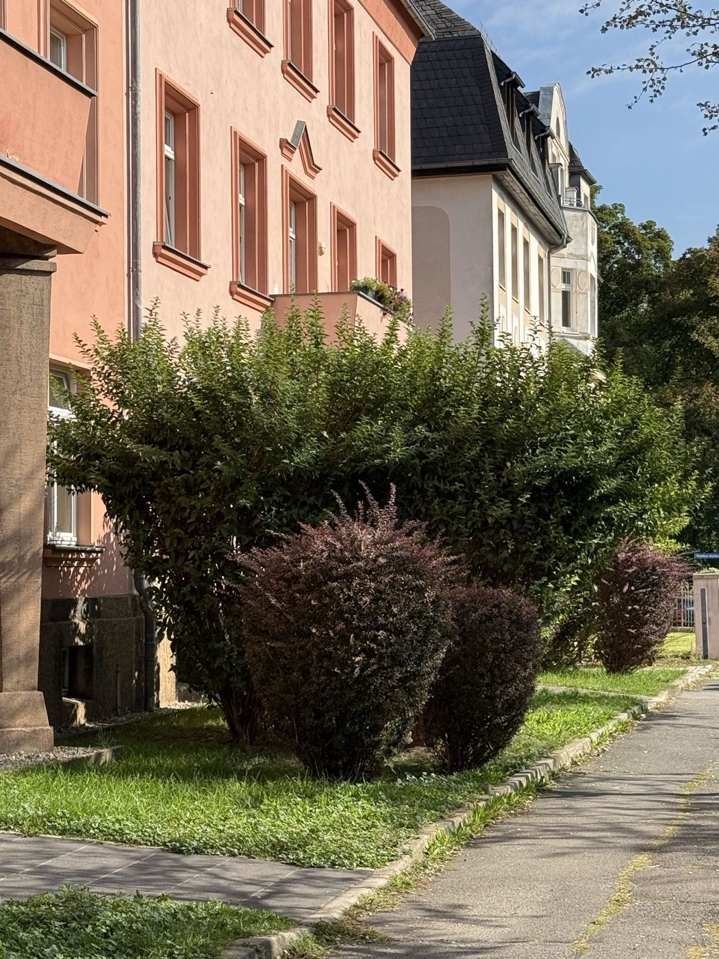 Hecke vor einem Altbau